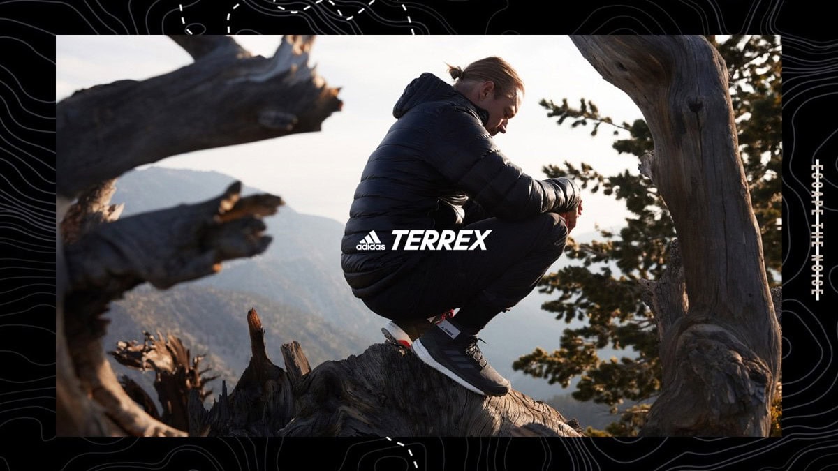 A freelance creative director capturing a person sitting on a tree branch outdoors during sunset, with mountains and trees in the background.